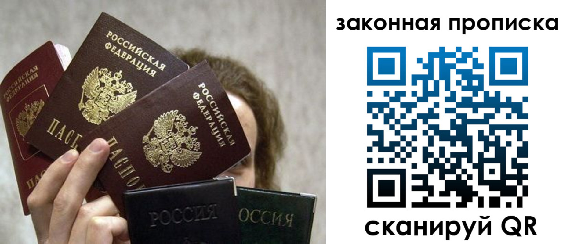 прописка законно в Дмитрове